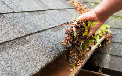 What Damage Can Clogged Gutters Cause in the Fall?